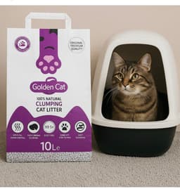 litière Golden cat